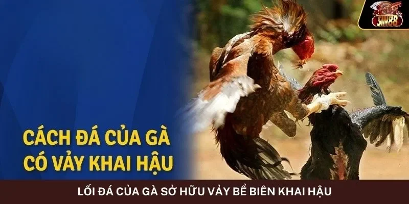 Lối đá của gà sở hữu vảy bể biên khai hậu