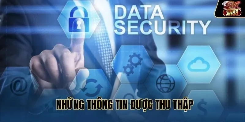 Những thông tin được thu thập